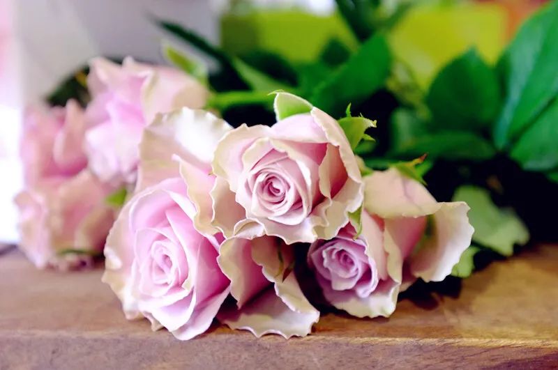 棋逢对手第36集全部观看,棋逢对手39电视剧