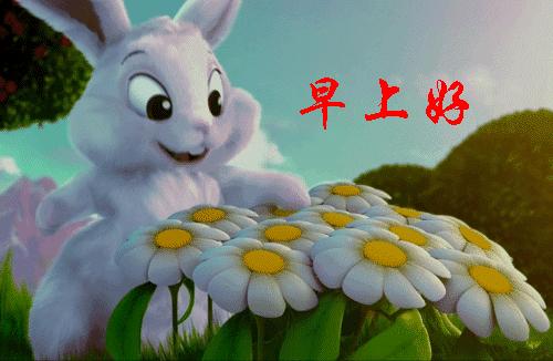 最美的早上好的问候语表情图,最美早晨问候祝福语图