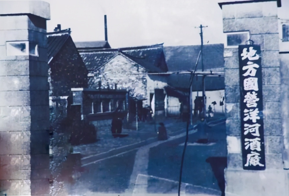 洋河为什么一落千丈,洋河大曲十大经典