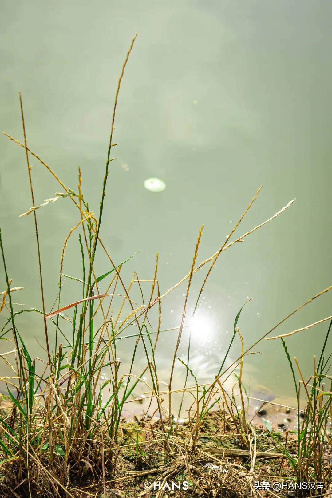 天元邓刚在湖北枣阳钓鱼的视频,天元邓刚钓鱼最新视频现场