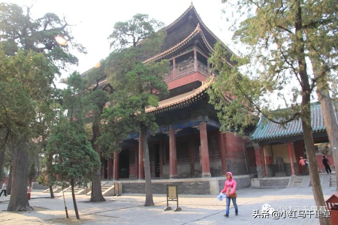 曲阜孔府孔庙孔林历史背景,曲阜孔府孔庙孔林一游