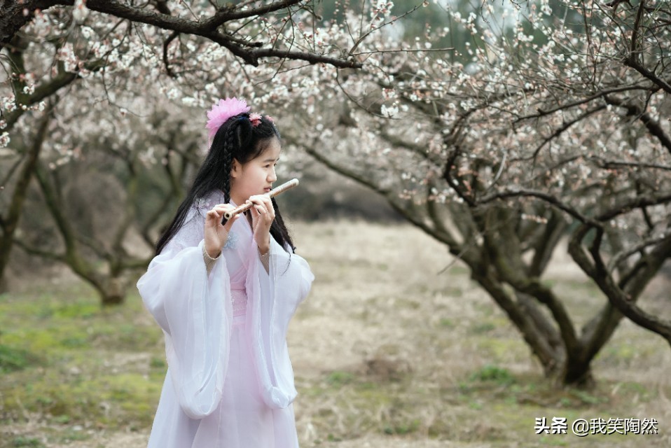 瀵掑啲宸茶嚦鑵婃宸插紑,瀵掑啲宸茶嚦鐧芥鑺卞紑