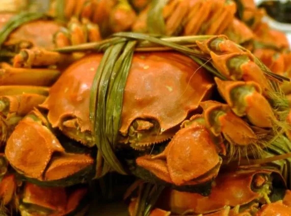 什么是幸福这就是最好的答案,什么是幸福这才是真正的爱情