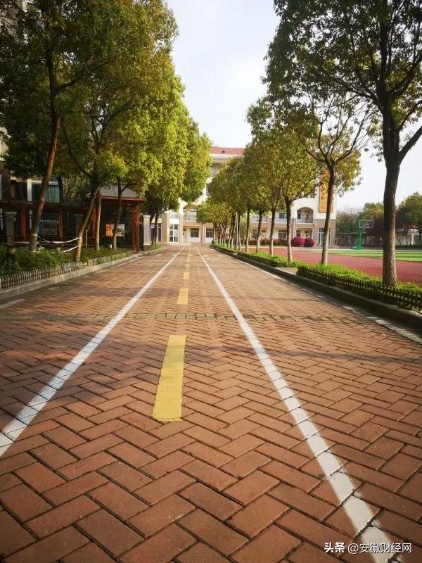 花都开好了现场完整版,花都开好了合唱合拍