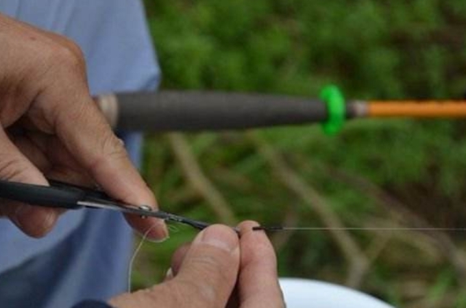 水一肥，我就只用这钓法，百用百灵，知道的人绝非泛泛之辈