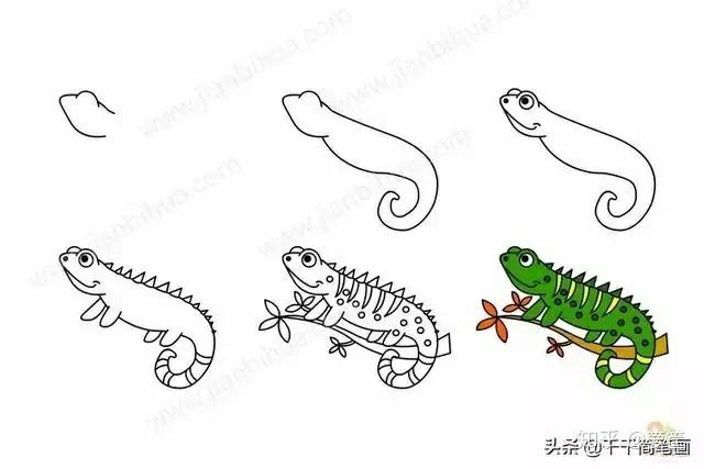 画小动物简笔画简单又漂亮,春天里的小动物怎么画简笔画