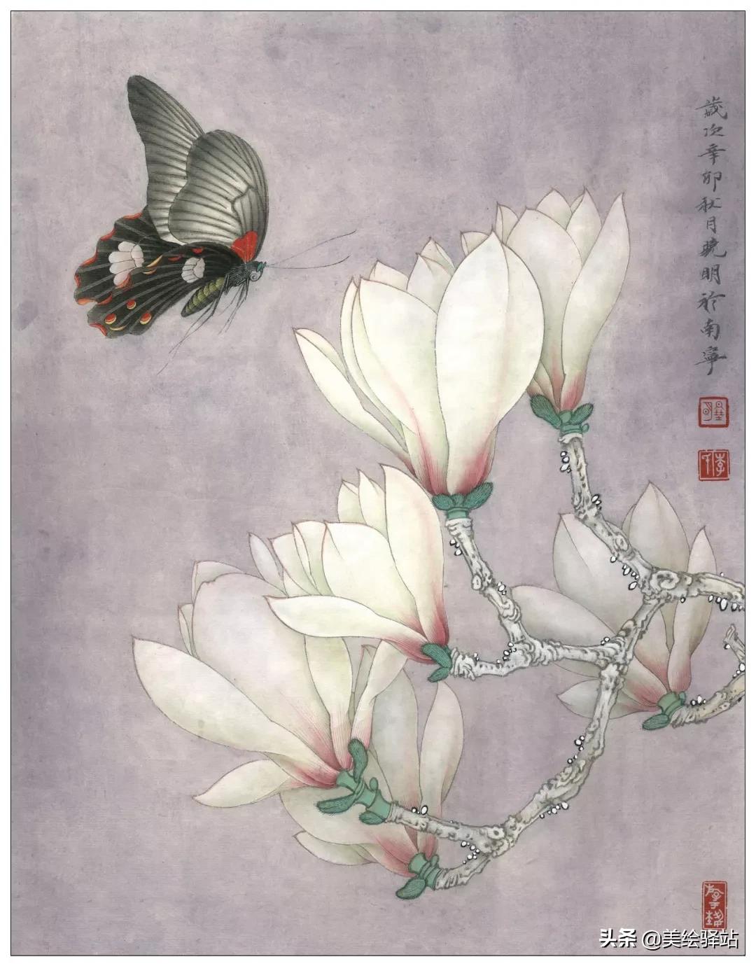 「教程」李晓明《玉兰蝴蝶》绘制步骤