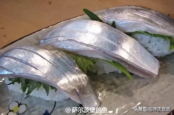 32种经典寿司做法视频,寿司常用的鱼