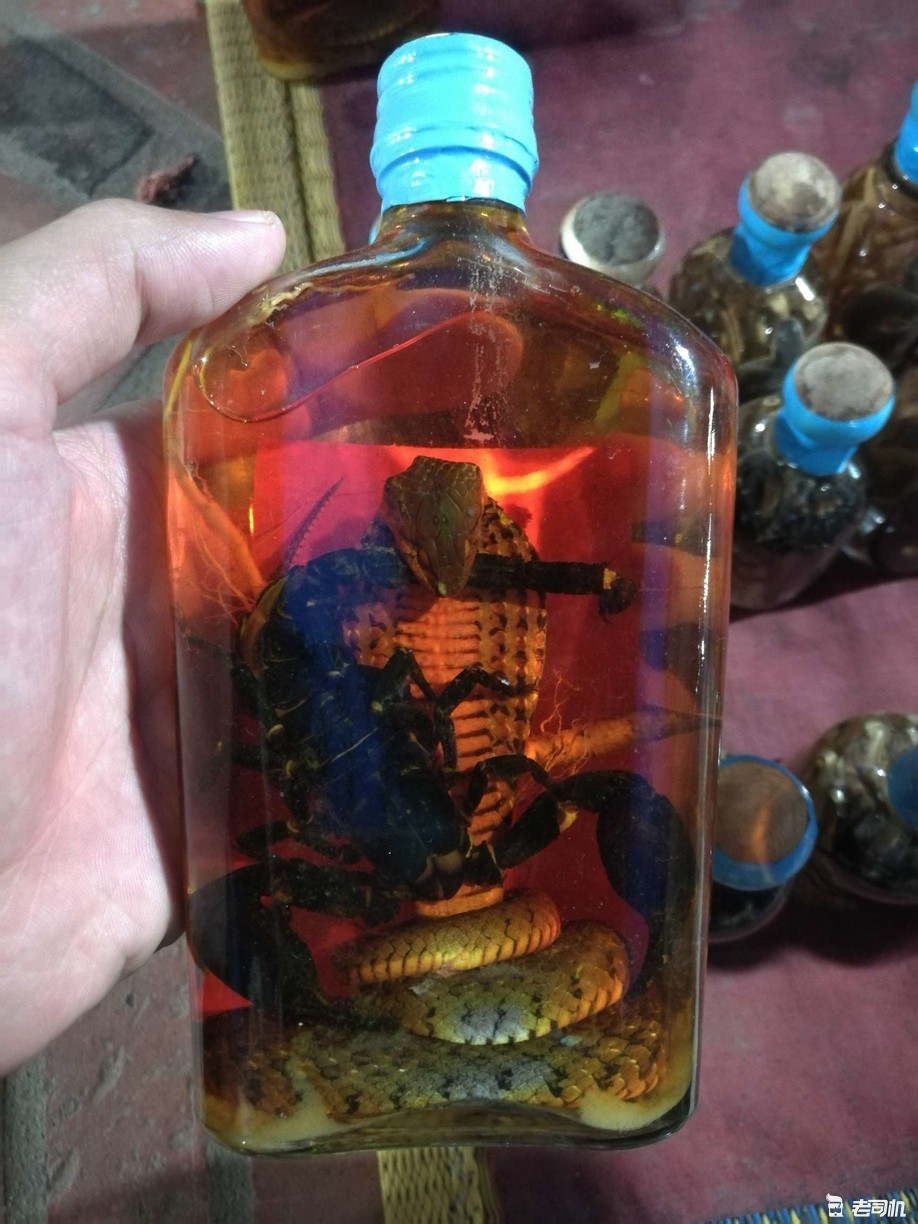 泰国老挝东南亚自驾游攻略,老挝旅游攻略西双版纳出发