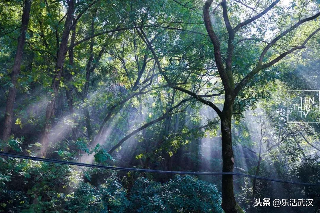 1月武汉,武汉1月份有什么玩的