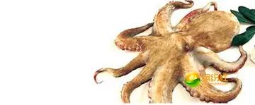 舟山4月份海鲜攻略,舟山海鲜代加工攻略