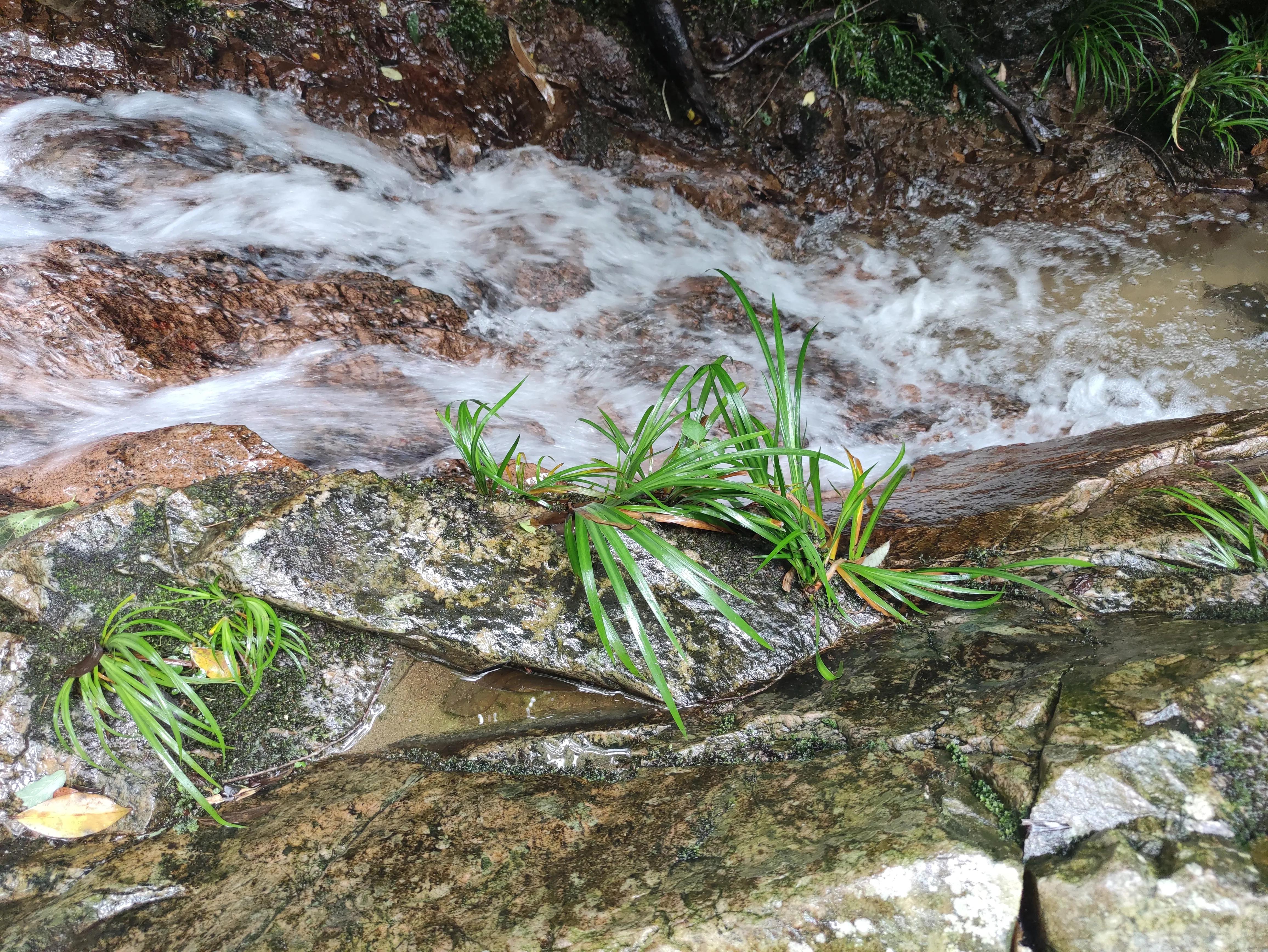 给大家展示一下什么叫做“金山药岭名茶地，竹海栗园水电乡”