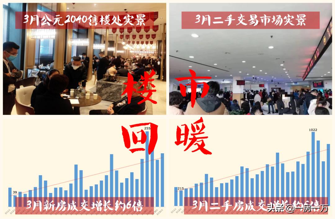 【公元2040】356w起！已明确明珠托管小学+进才系中学优质双学区