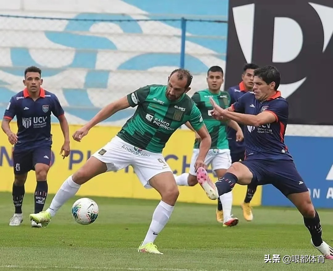 越老越妖阿根廷夺冠,越老越妖的十大球员