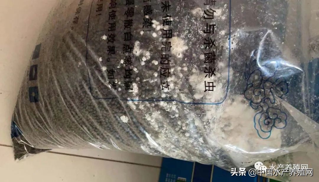 饲料乱象,饲料行业乱象