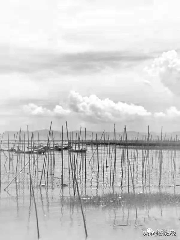 「任福斌」水墨意境的霞浦