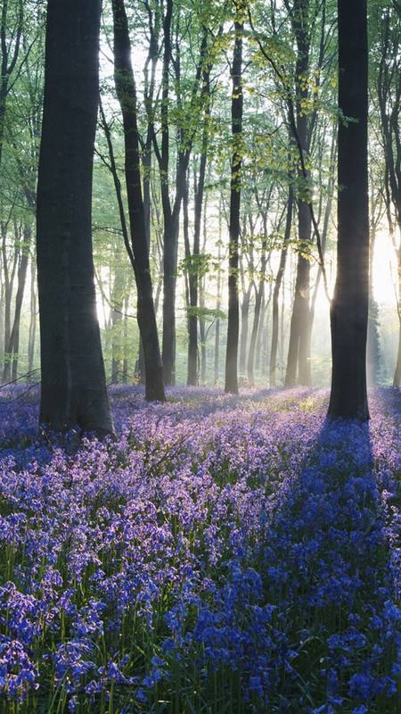 抗生素不良反应,各类抗生素药的不良反应