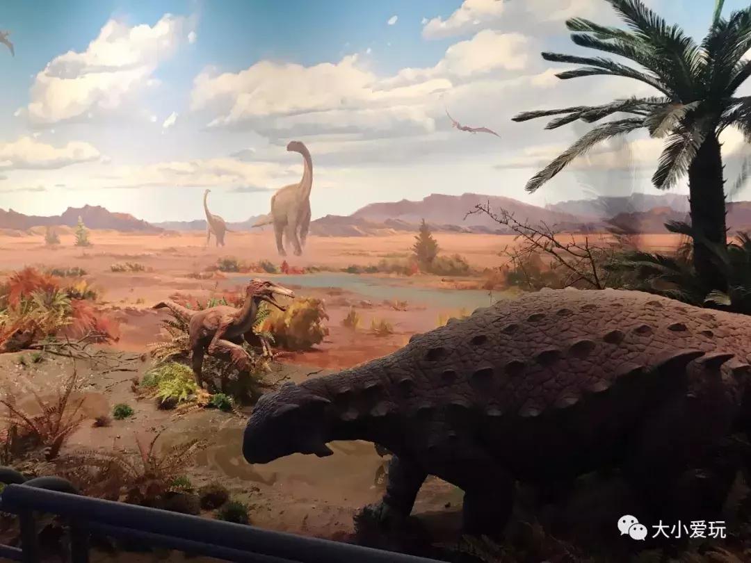 开放首日实探国家海洋博物馆，史上最抢手博物馆究竟长什么样