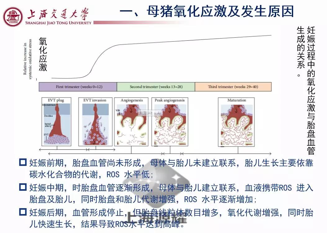 徐建雄教授讲座,徐建雄教授上海大学
