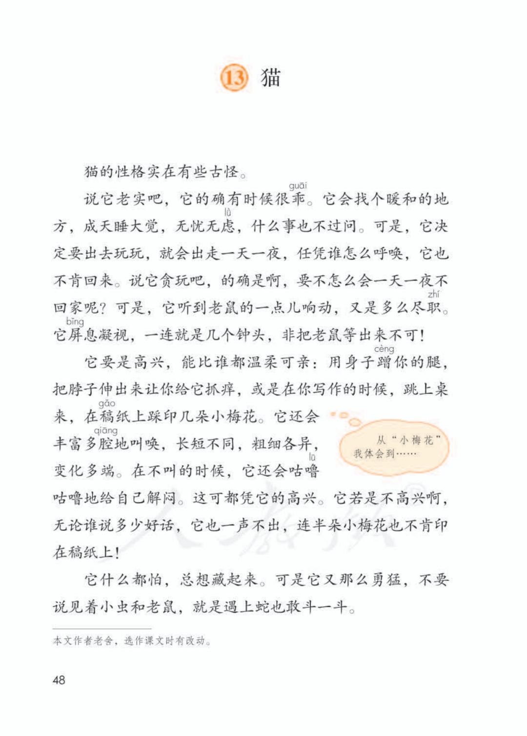 四年级下册语文13课猫课文解析,部编版四年级下册13猫教学视频