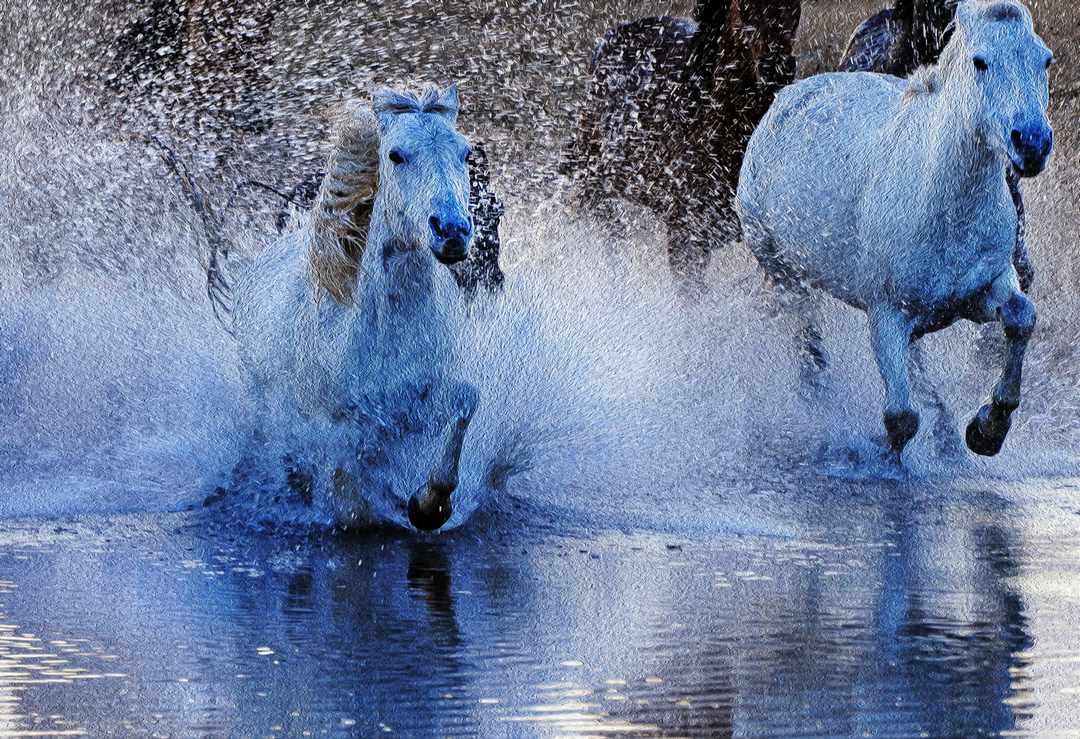 拍马都追不上的成语,拍马都赶不上的成语