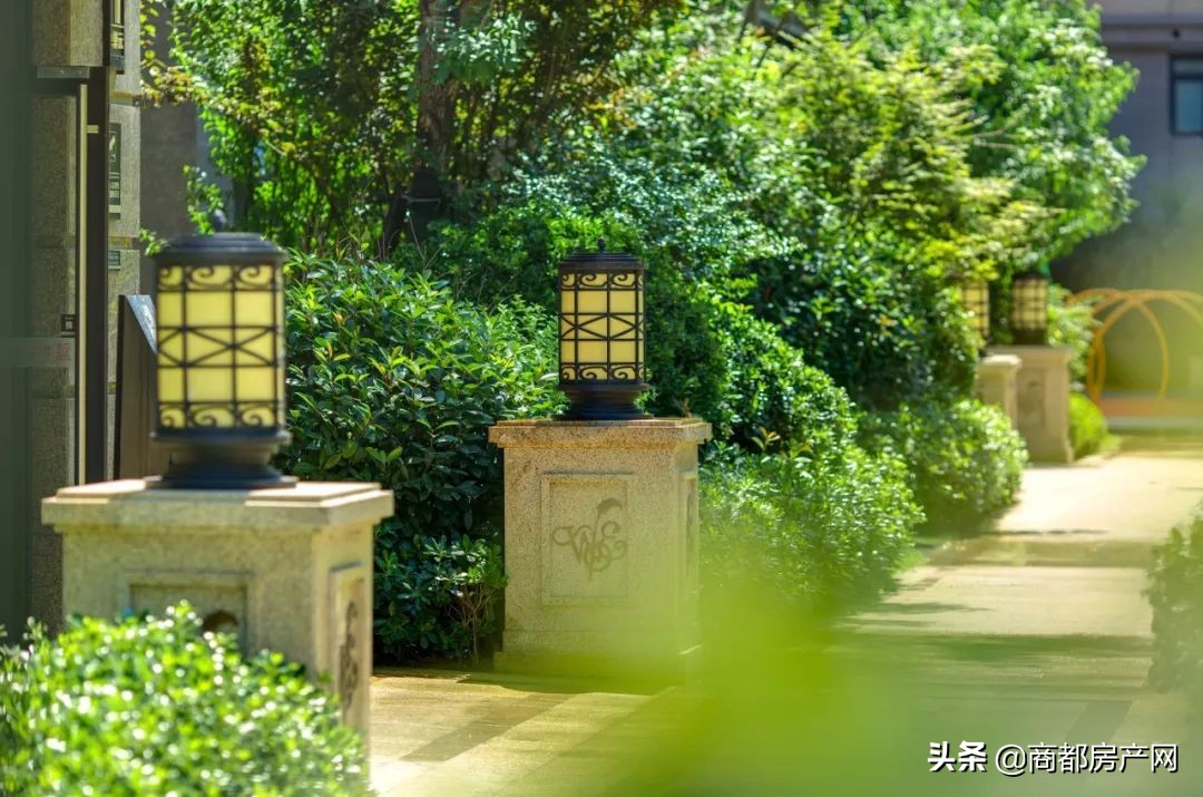 近20年，干3件事，正弘北区之路，初心未改