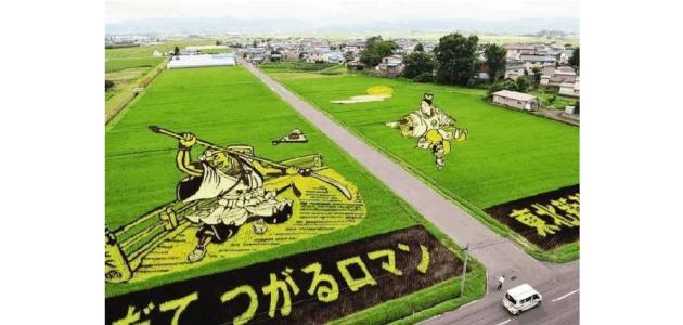 日本农业现状及前景,不吹不黑浙江农林大学