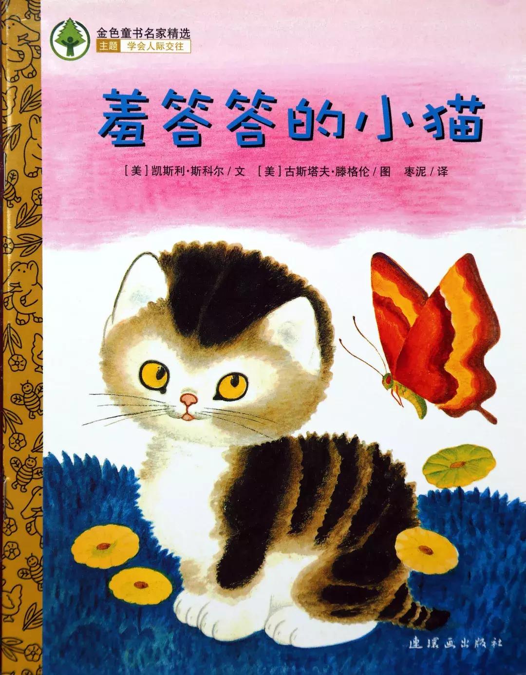 羞答答的小猫绘本故事,绘本阅读有趣的小猫