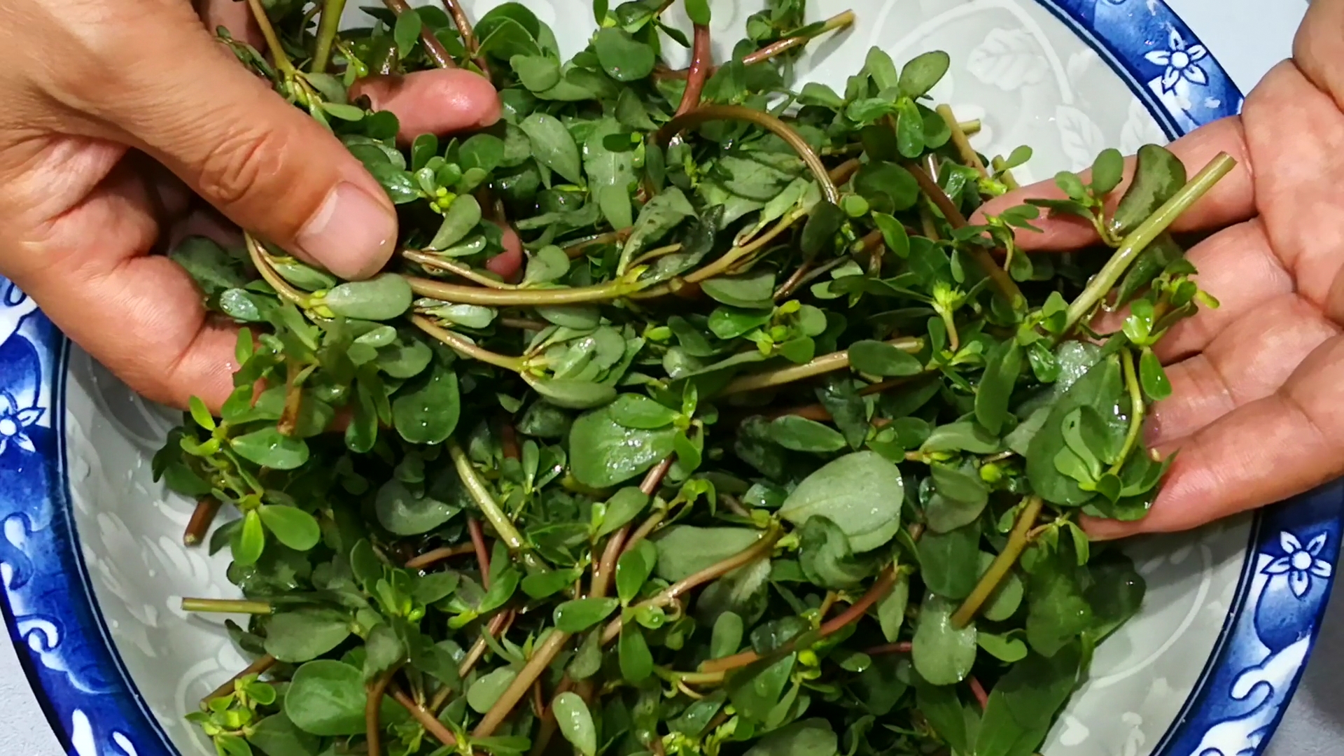 怎么蒸马齿苋好吃窍门,蒸的马齿苋好吃吗