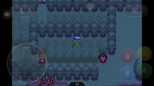 口袋妖怪究极绿宝石4攻略33,口袋妖怪究极绿宝石4完全攻略