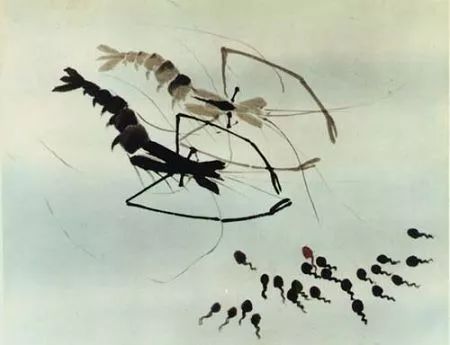 苏州电影院有什么电影,苏州体验感最好的电影院