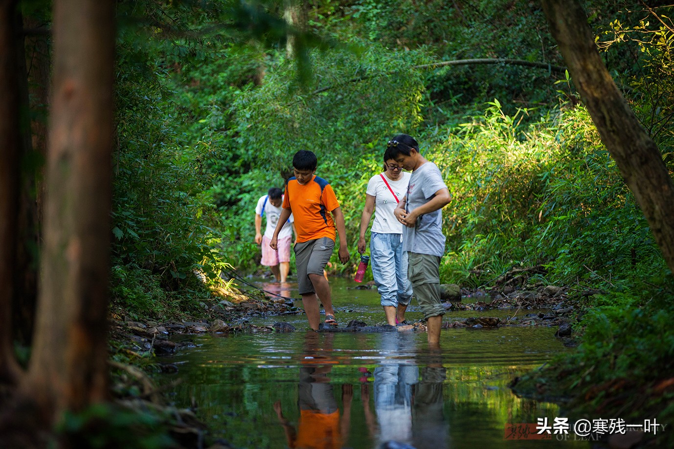 杭州当地人推荐的景点,杭州人避暑去哪