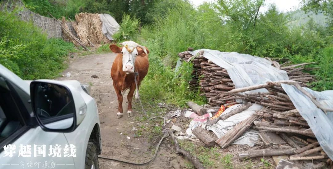 长白山是不是又叫白山了,长白山和白山是一个地方吗