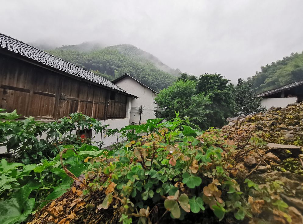 一场烟雨，把人困进仙境！藏在金华南山的这个小村，不求爆红，只求安静邂逅！