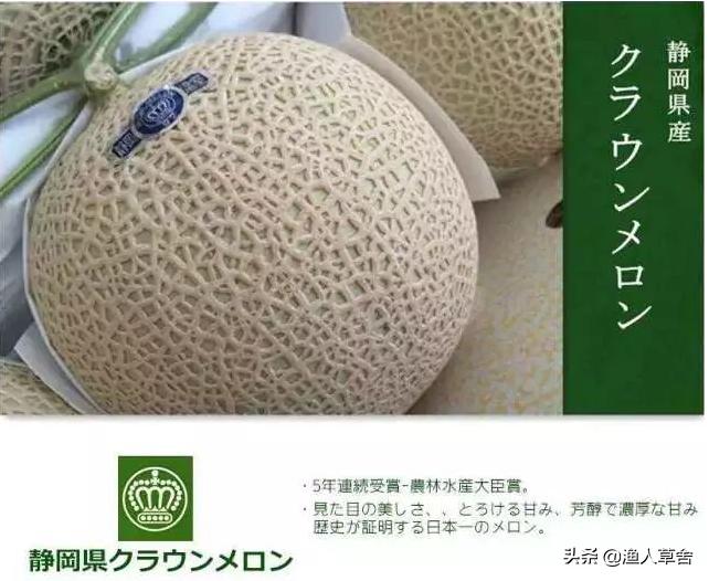 网纹瓜和静冈蜜瓜,静冈蜜瓜是网纹瓜吗