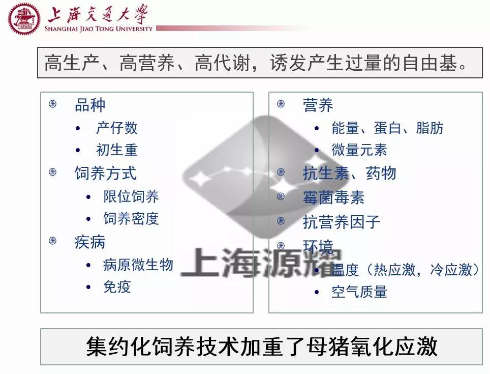 徐建雄教授讲座,徐建雄教授上海大学