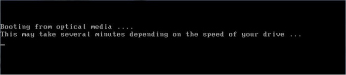 如何通过DELL引导光盘在12G服务器上安装Windows2008操作系统？
