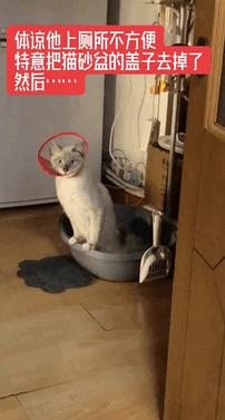 搞笑gif段子因为爱情所以共患难,搞笑gif段子小伙子你谈恋爱了吗