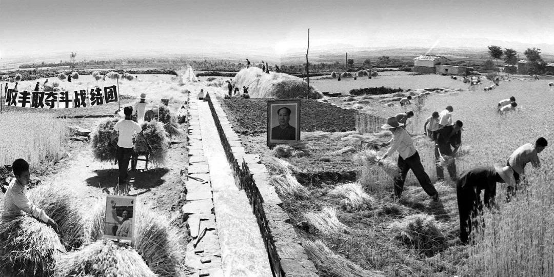 从《姜子牙》到《中国2098》，只有中国还有革命浪漫主义