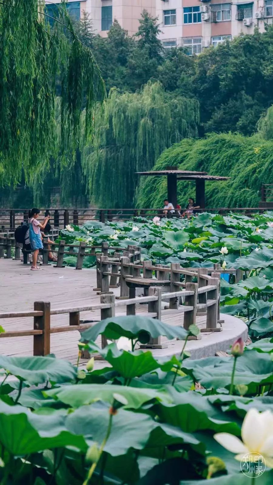 郑州有哪些免费运动场,郑州开放室外运动场地