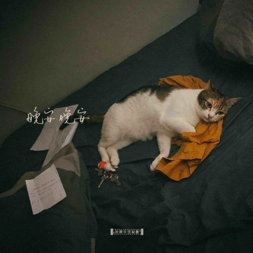 王源好听的歌合集,王源37首歌合集完整版