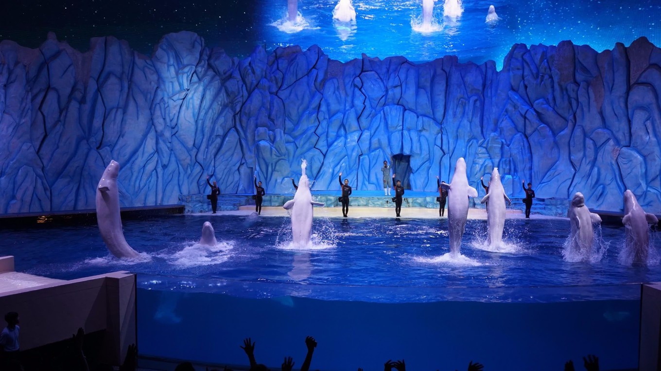 珠海长隆2天一夜吃住行攻略,珠海长隆两天一晚游攻略