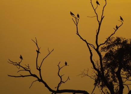 当代最为玄妙的小说，格非《褐色迷宫》有何深意？