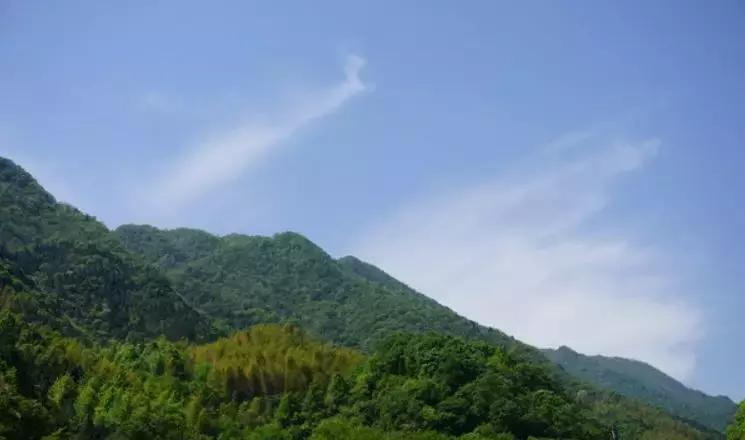 安徽春天去哪看花,安徽春天赏花攻略景点推荐