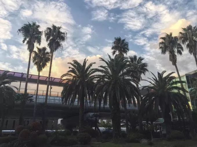 济州岛俩人旅游攻略,济州岛双人跟团旅游费用