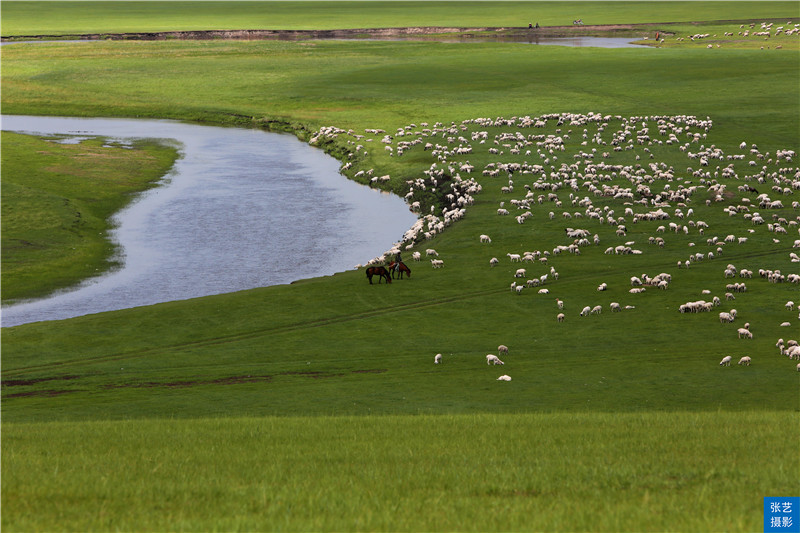 带你看美丽的呼伦贝尔大草原,呼伦贝尔大草原欣赏
