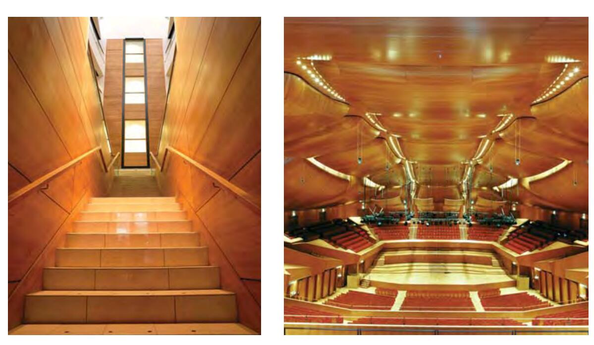 国外进口木材有哪些,进口木材种类名称大全图片及价格