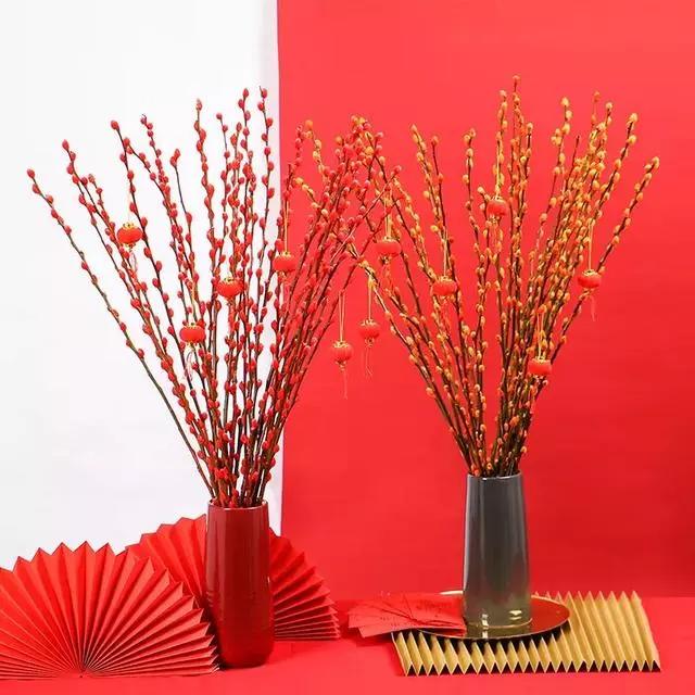 过年家里摆什么植物好,家里过年要摆几样水果