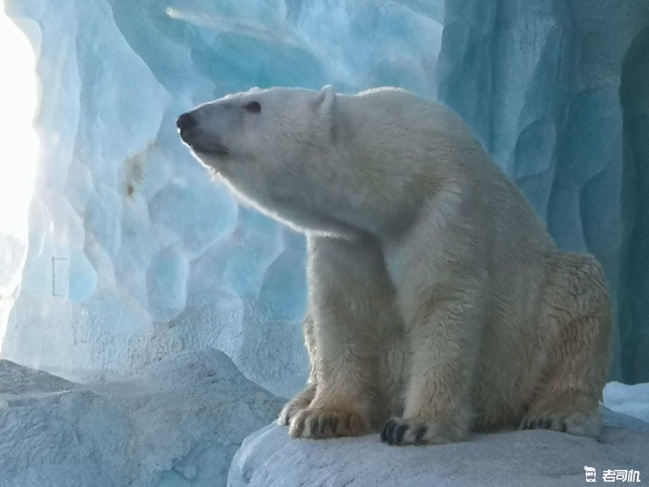 珠海长隆海洋王国亲子游攻略,珠海长隆海洋王国攻略亲子游