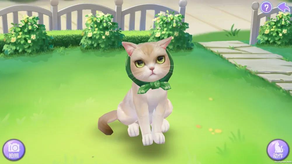 哪个品种的猫咪才最吸引人？《喵与筑》机械猫带来云养猫新体验